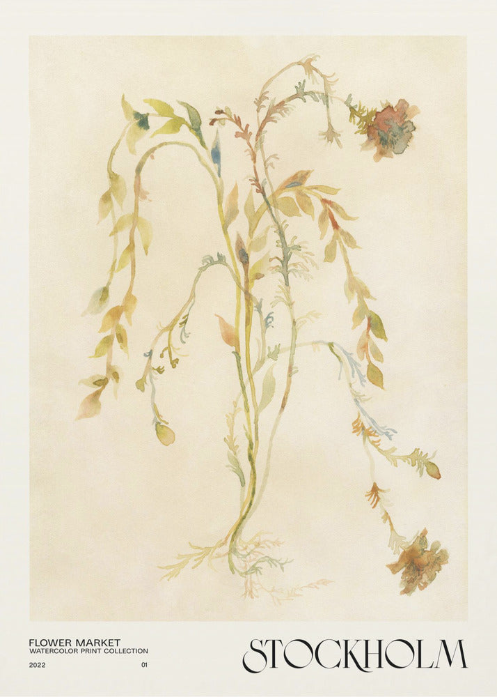 Akvarelltrycksamling. Blomstermarknad - Stockholm | Poster