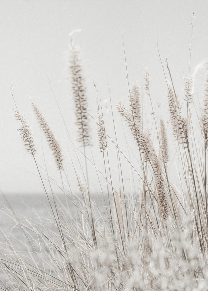 Grass | Poster