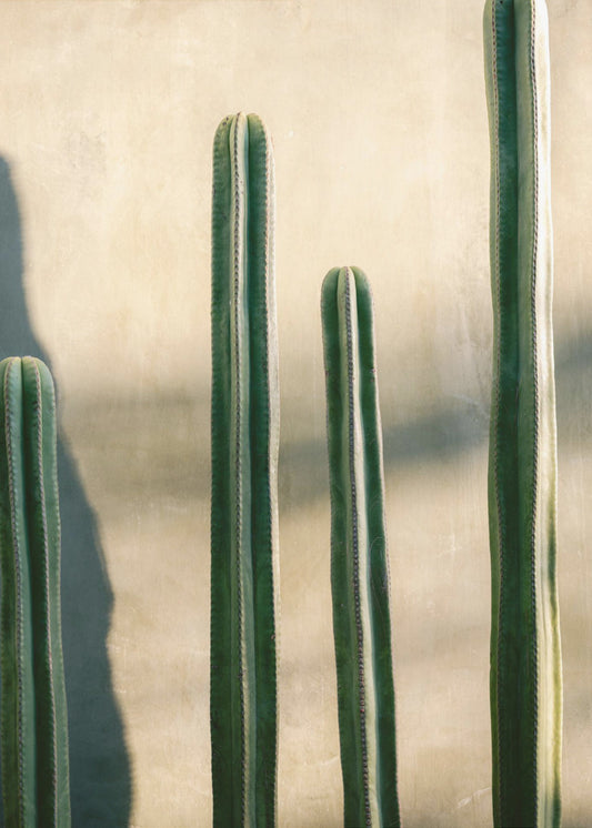 Tonos de verde en Oaxaca | Fotografía de viajes a México | Impresiones en Lienzo