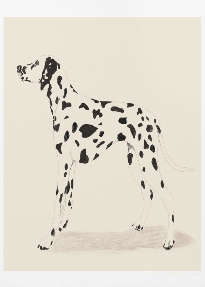 Dalmatien pandémique | Tableaux sur Toile