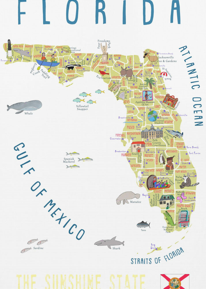 Illustrerad karta över Florida av konstnären Carla Daly | Canvas