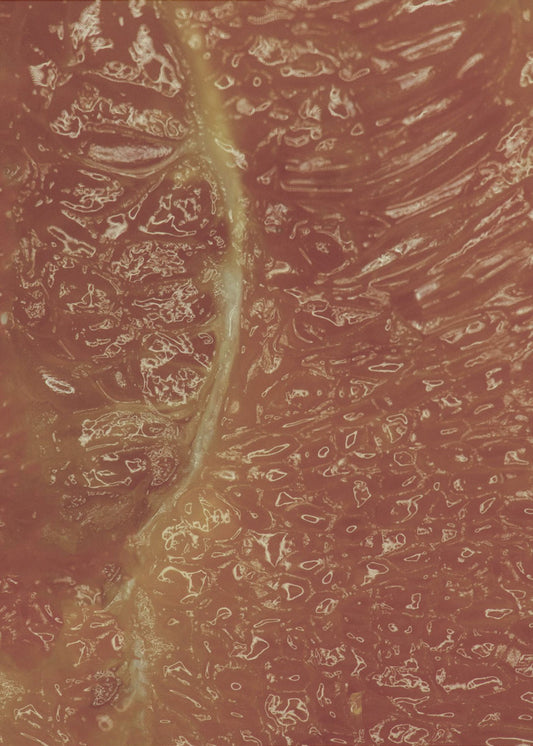 Citrus Mosaic | Poster