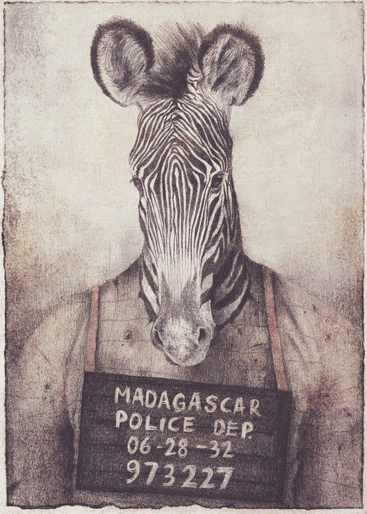 Zebra Mugshot Mysterium | Canvastavla