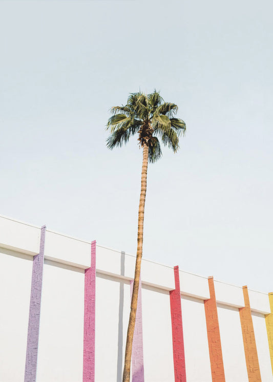 Colores de Palm Spring 2 | Impresiones en Lienzo