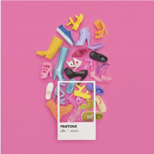 La vita nella plastica | Stampe su Tela