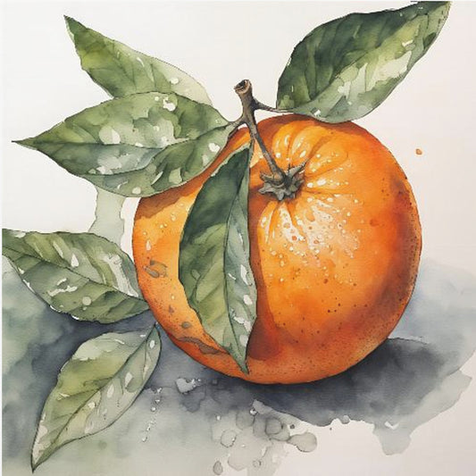 Orange, Aquarell, Ink | Poster