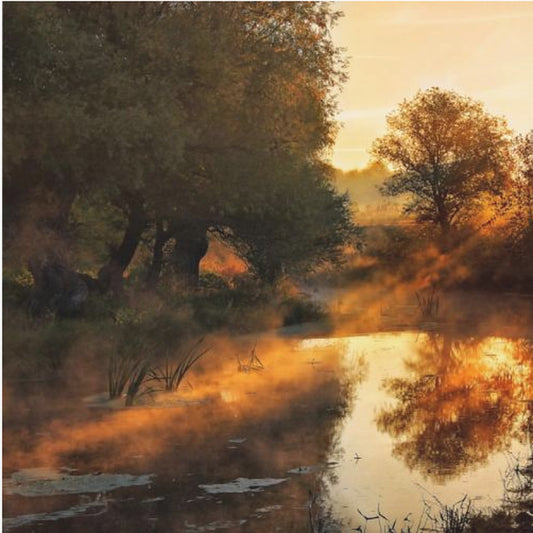 Wenn die Natur mit Licht malt I | Leinwand-Bilder